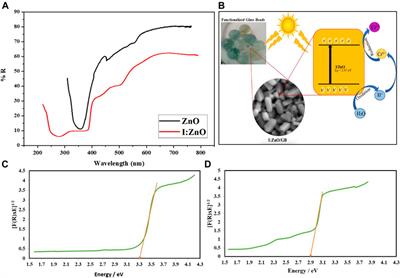 Enhanced Solar Photocatalytic Activity of Thermally Stable I:ZnO/Glass Beads for Reduction of Cr(VI) in Tannery Effluent